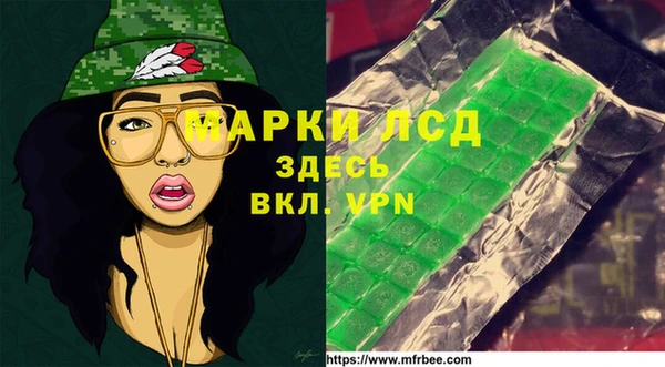 дживик Анива