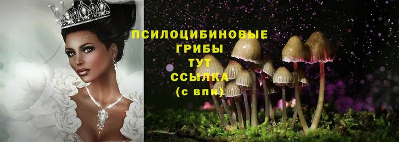 хочу   Дивногорск  Галлюциногенные грибы MAGIC MUSHROOMS 