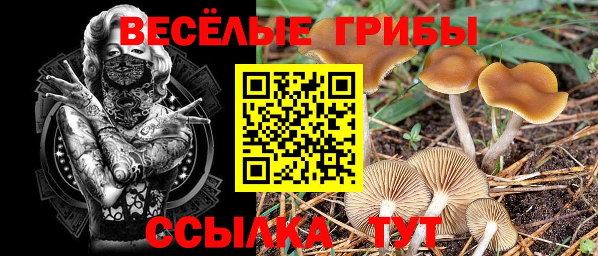 Галлюциногенные грибы прущие грибы Дивногорск