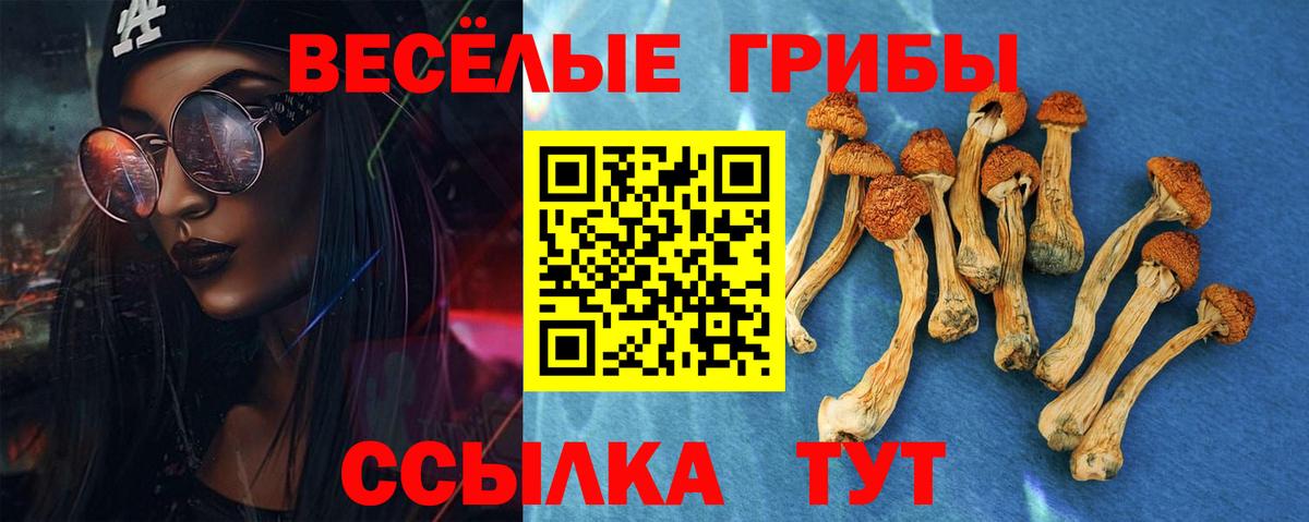 Галлюциногенные грибы ЛСД Дивногорск