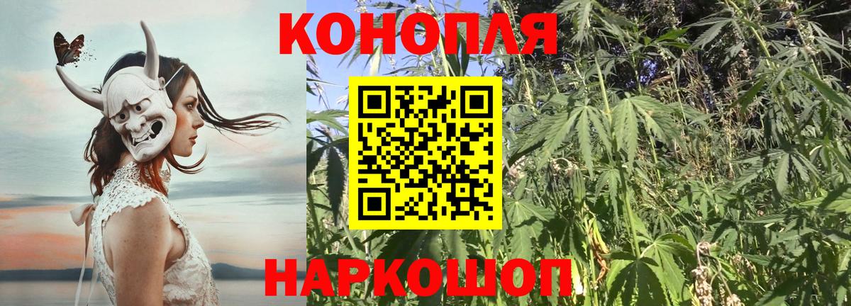 Бошки марихуана тримм  Шишки марихуана MAZAR  Шишки марихуана Ganja  Вход с VPN  Дивногорск  Конопля планчик 